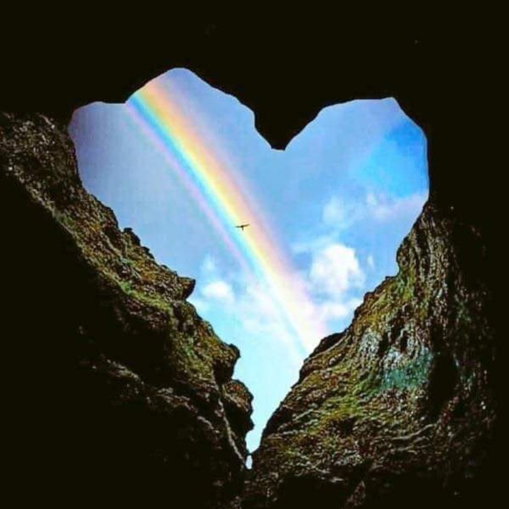 Meet your Posher, Posh